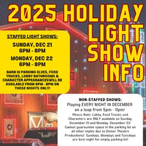 2025 Christmas Light Show