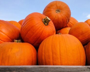 Morton Pumpkin Festival 2025