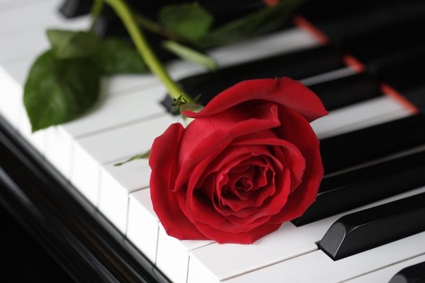 Broadway Lounge - Dueling Pianos Valentines Day