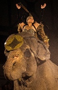Carden Circus - Elephant with Performer