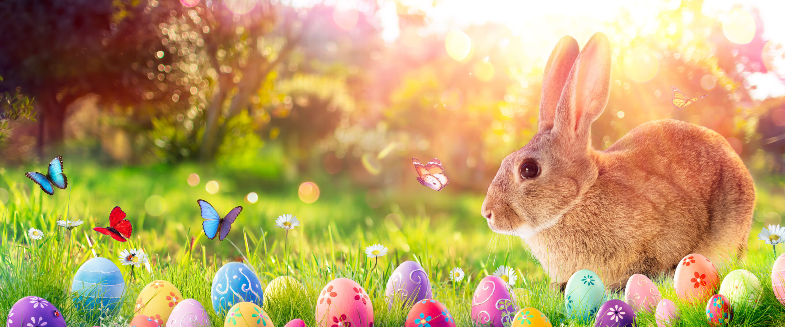 Easter Events In The Peoria Illinois Area
