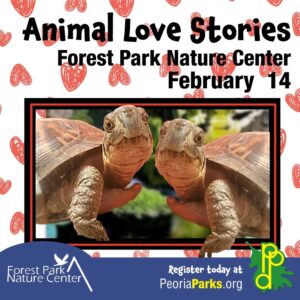 Forest Park Nature Center - Animal Love Stories