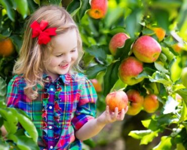 Tanner’s Orchard – A Complete Guide to Central Illinois’ Favorite Fall Destination