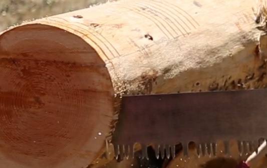 Peoria Oktoberfest - Log Sawing Competition