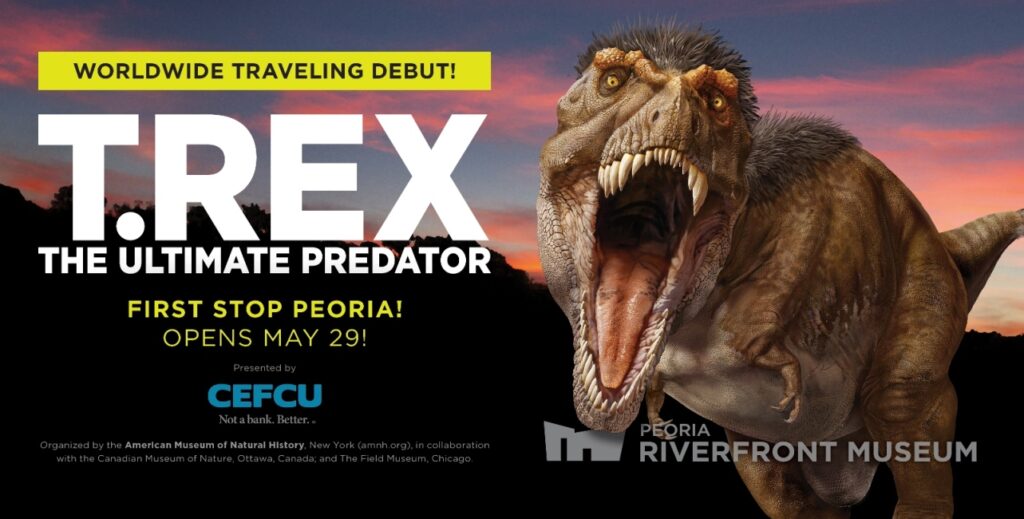 Peoria Riverfront Museum - T Rex