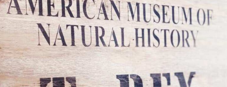 Special Events, Exhibits on Their Way Back