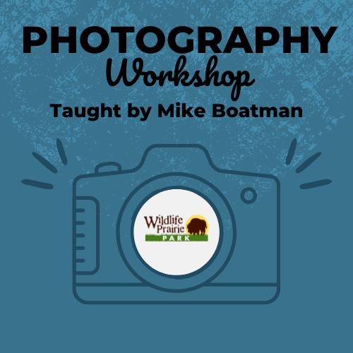 Mike Boatman Photography