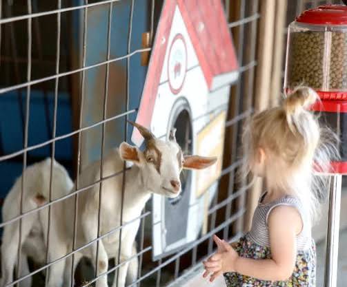 Tanner's Orchard - Goat & Little Girl