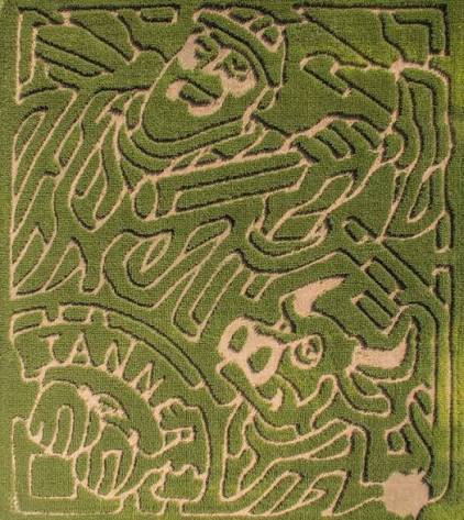 Tanner's Orchard - Maze