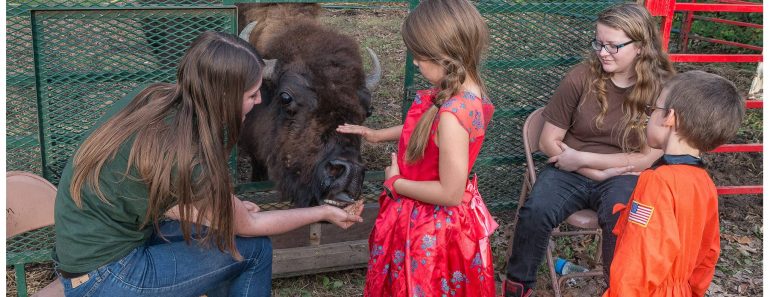 Wildlife Scary Park Opens October 18