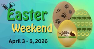 Wildlife Pairie Park - Easter Egg Hunt 2026