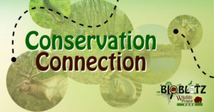Wildlife Prairie Park - Bioblitz 2026