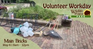 Wildlife Prairie Park - Volunteer Workday