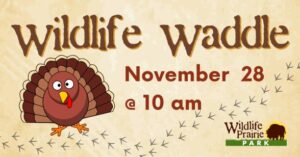 Wildlife Prairie Park - Wildlife Waddle Nov 2025